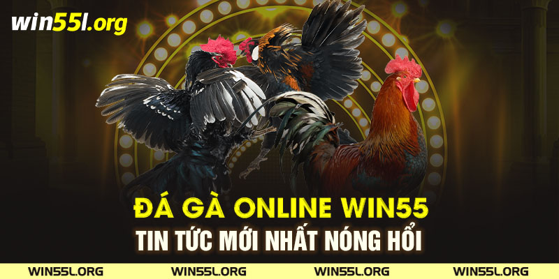 Đá gà online Win55 